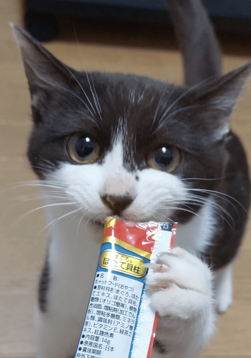 だるまレンコン