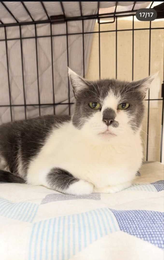 トトロ母ちゃん